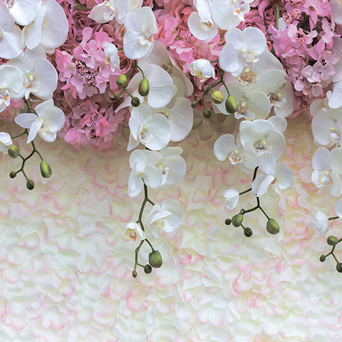 Декоративная панель (фартук) АБС Цветущие орхидеи (3м)