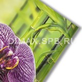 Фартук-панно Орхидея Ванда 602х1002 мм
