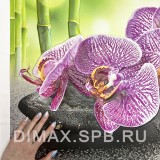 Фартук-панно Орхидея Ванда 602х1002 мм