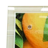Защитная панель из закаленного стекла Апельсиновое дерево (фартук) 500х600 мм